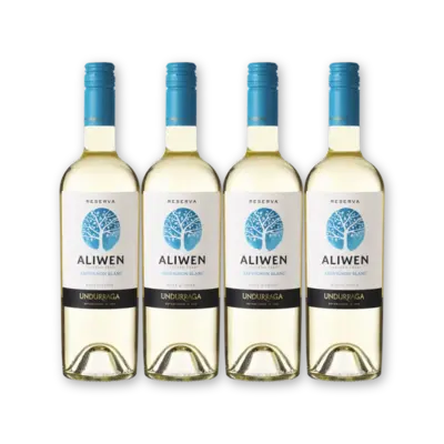 pdp-image-Aliwen Sauvignon blanc reserva 4 flessen