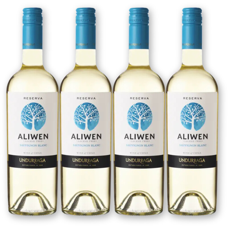 Aliwen Aliwen Sauvignon blanc reserva 4 flessen
