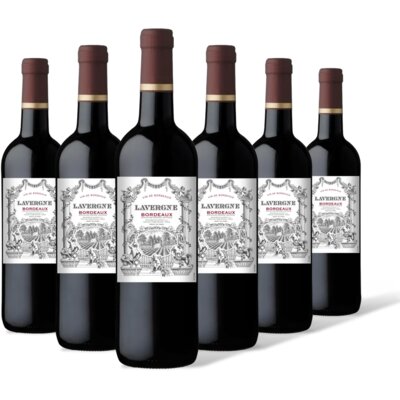 pdp-image-Chateau Lavergne Lavergne bordeaux 6 flessen