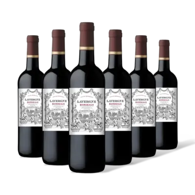 pdp-image-Chateau Lavergne Lavergne bordeaux 6 flessen