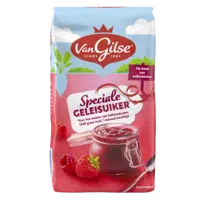 Van Gilse Geleisuiker speciaal