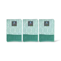 AH Keuken- en theedoek mint set van 2 3-pck