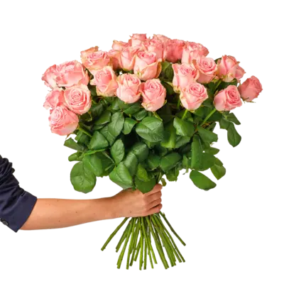 pdp-image-AH Roze rozen x15