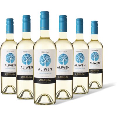 pdp-image-Aliwen Sauvignon blanc reserva 6 flessen