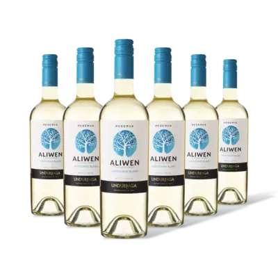 pdp-image-Aliwen Sauvignon blanc reserva 6 flessen