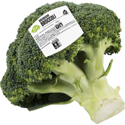 pdp-image-AH Biologisch Broccoli