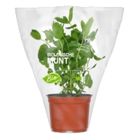 AH Biologisch Munt pot