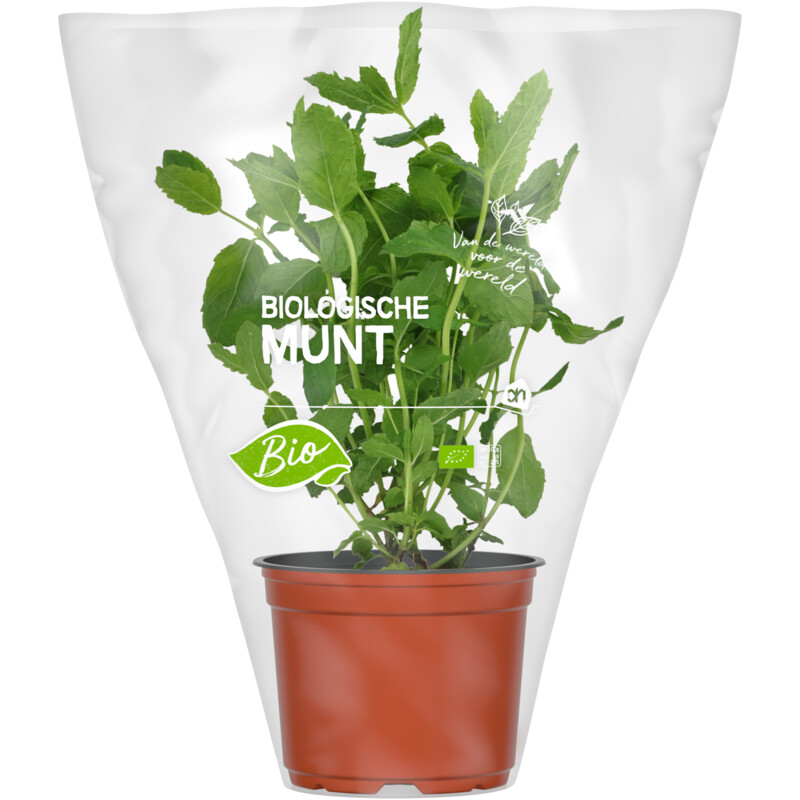 Een afbeelding van AH Biologisch Munt pot