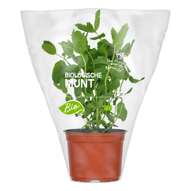 AH Biologisch Munt pot