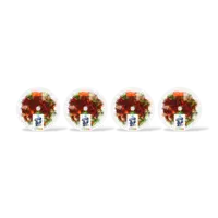 AH Stoommaaltijd beef teriyaki 4-pack