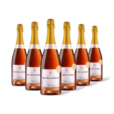 pdp-image-AH Excellent AH Excl. Champagne brut rosé 6 flessen