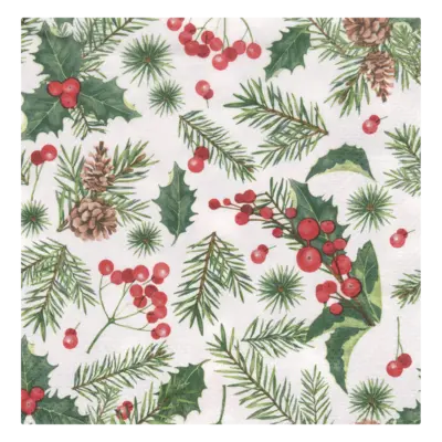 pdp-image-AH Excellent Servet hulst allover 24cm