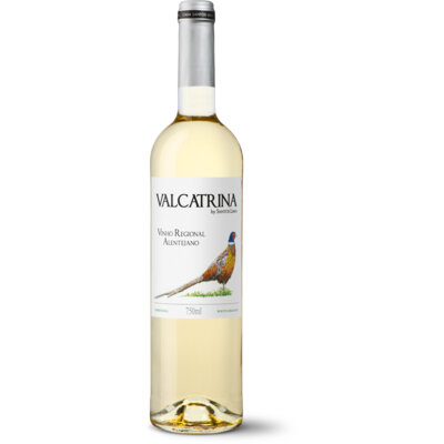 pdp-image-Valcatrina Branco