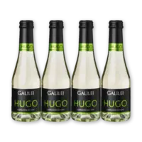 Galilei Hugo 4 flessen