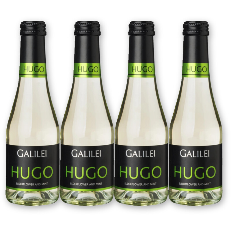 Galilei Galilei Hugo 4 flessen