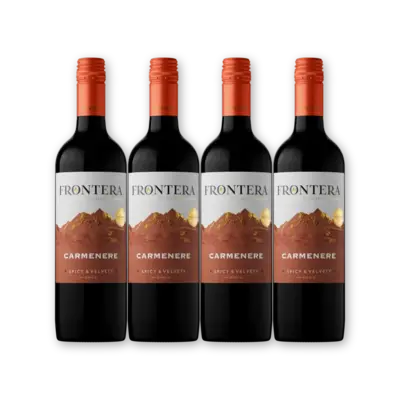 pdp-image-Frontera Carménère 4 flessen