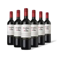 Casillero del Diablo Cabernet sauvignon reserva 6 flessen
