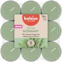 Bolsius Geurtheelichten 4u true scent rozemarijn