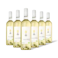 AH Biologisch Pinot grigio 6 flessen