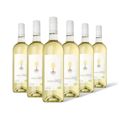 pdp-image-AH Biologisch Pinot grigio 6 flessen