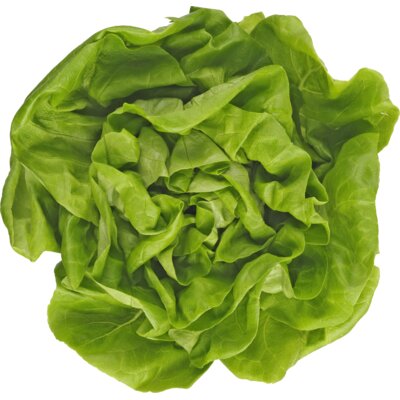 pdp-image-AH Kropsla