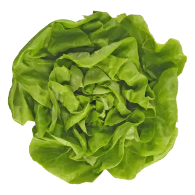 pdp-image-AH Kropsla