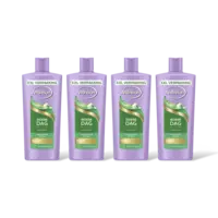 Andrélon Iedere dag shampoo 4-pack