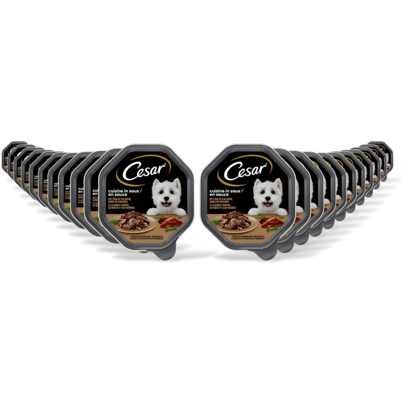 Cesar Cuisine met kalkoen & rund in saus 22pk