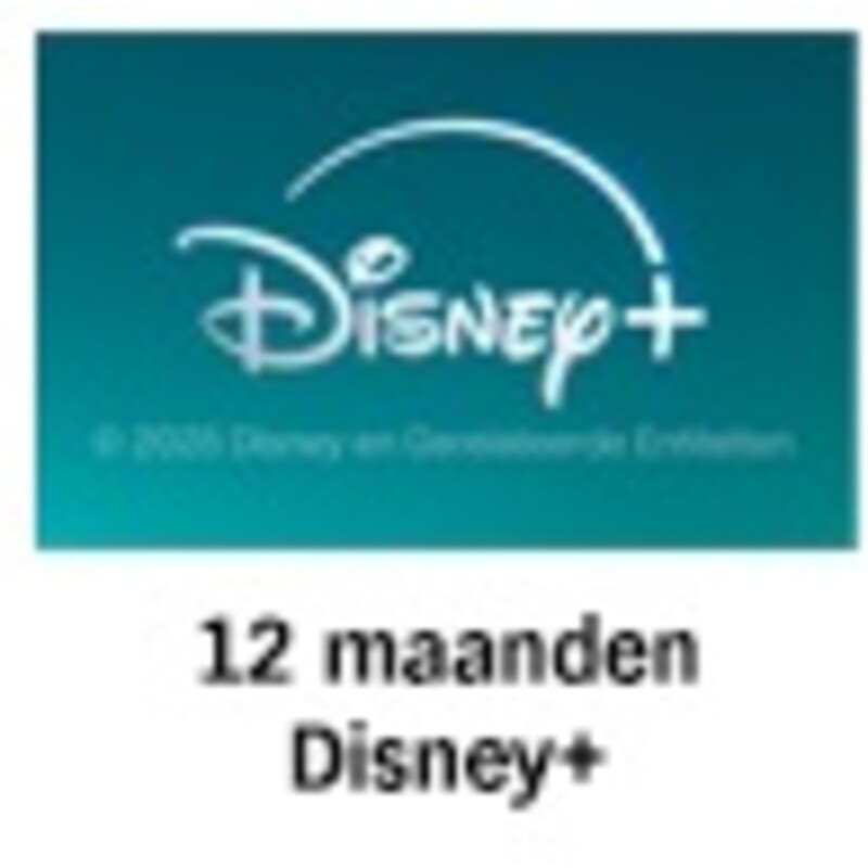 Een afbeelding van Disney plus 12 maanden