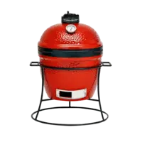 Kamado Joe BBQ joe jr