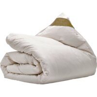 Een afbeelding van Ten Cate Dekbed 4-seizoenen dons 100 240x200