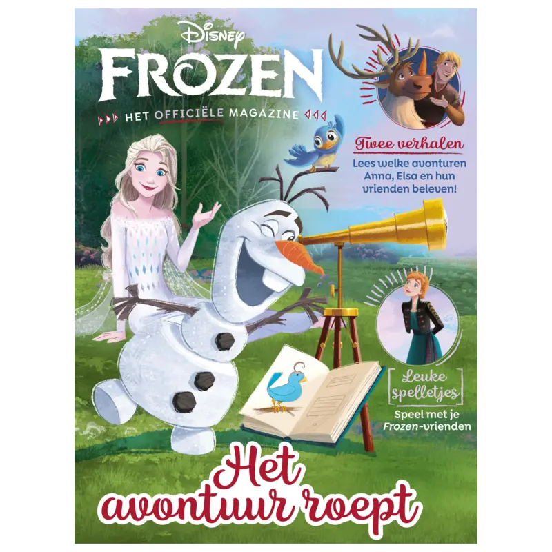Disney frozen activity