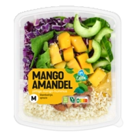 AH Terra Plantaardige lunchsalade mango amandel