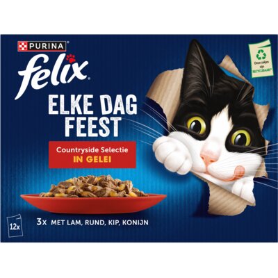 pdp-image-Felix Elke dag feest countryside gelei