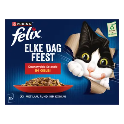 pdp-image-Felix Elke dag feest countryside gelei