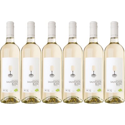 pdp-image-AH Biologisch sauvignon blanc 6 flessen