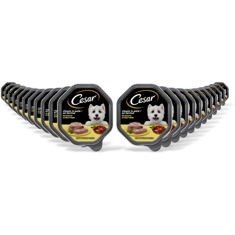 Cesar Classic met kip 22-pack