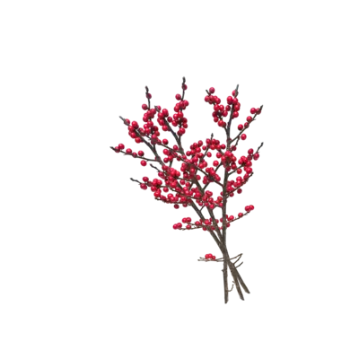 pdp-image-AH Hollandse Ilex