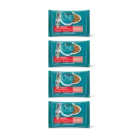 Purina ONE Sterilcat met zalm en wortels 4-pack