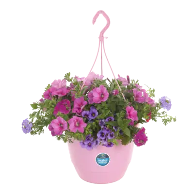 pdp-image-AH Perkgoed in hangpot