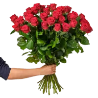 AH Rode rozen 20 stuks