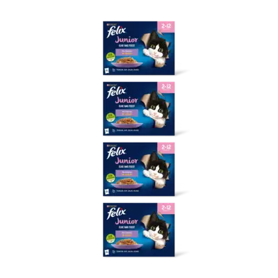 pdp-image-Felix Elke dag feest jr mix selectie gelei 4pk