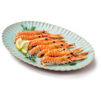 pdp-image-AH Visspecialist Langoustines