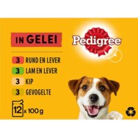 PEDIGREE Adult Dose 1200g - Nassfutter für Hunde mit Rindfleisch in Gelee - | Online-Zoohandlung