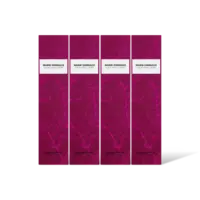 AH Geurstokjes warm embrace 4-pack