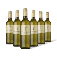 Gio Pinot grigio 6 flessen