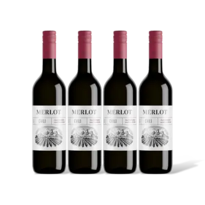 pdp-image-AH Merlot 4 flessen