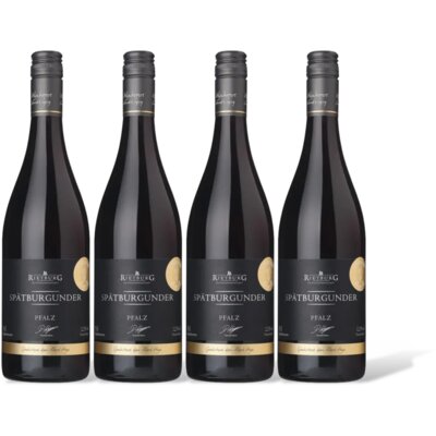 pdp-image-AH Excellent Chianti Classico 4 flessen