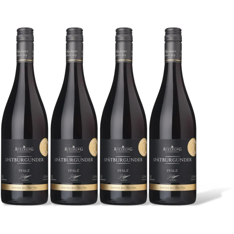 AH Excellent Chianti Classico 4 flessen