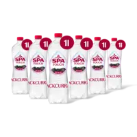 Spa Touch bruisend blackcurrant 6-pack